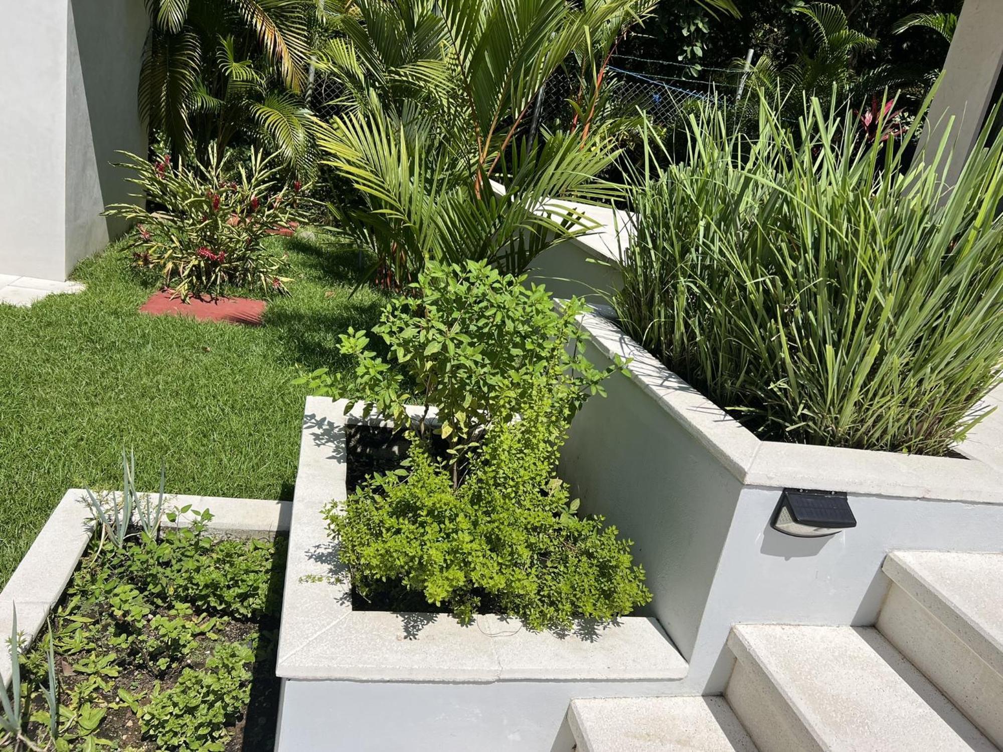 Villa Estrella Pavones 帕沃内斯 客房 照片